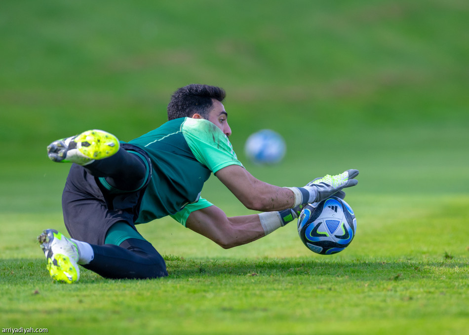 الأخضر.. مانشيني يرسم تكتيك الاختبار الأول