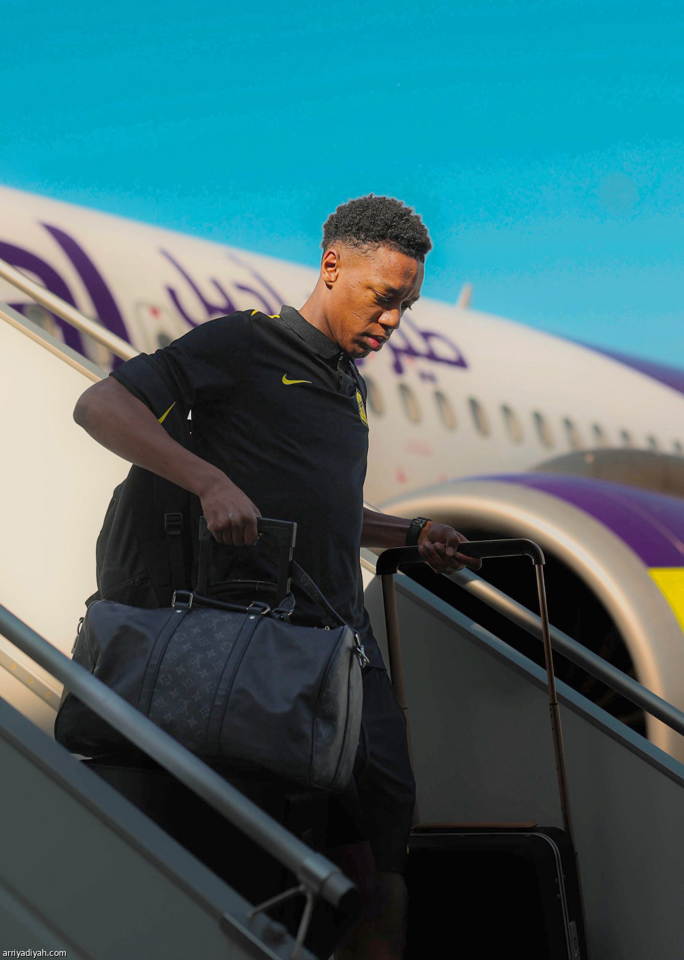 النمور في دبي