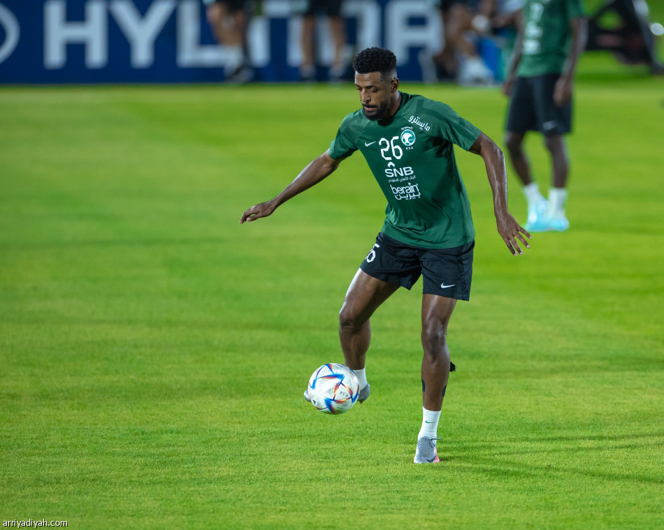 شراحيلي يدعم خيارات رينارد أمام المكسيك