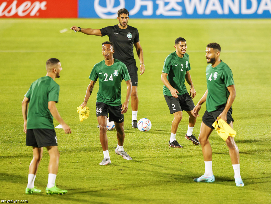 الأخضر
يخفي بديل المالكي