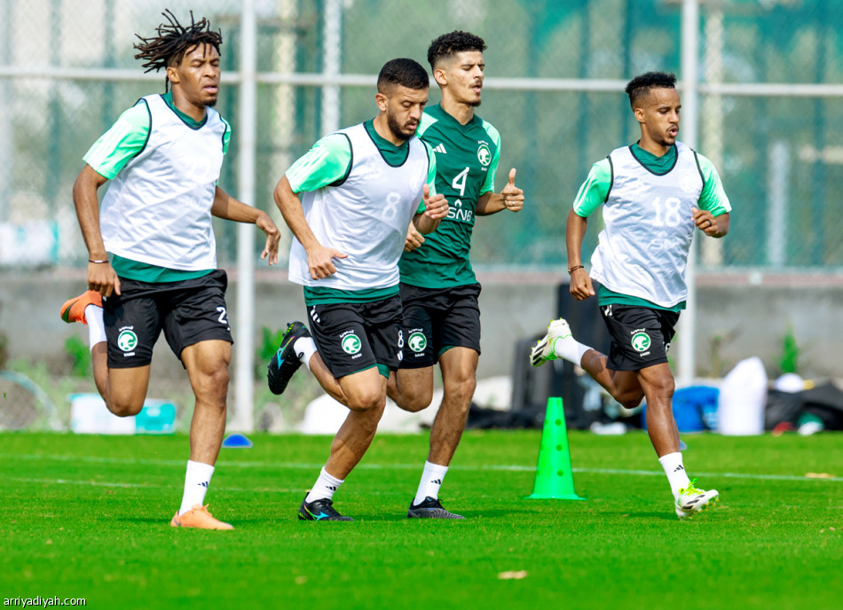 فنيون: مغامرة ذكية..
والحذر مطلوب