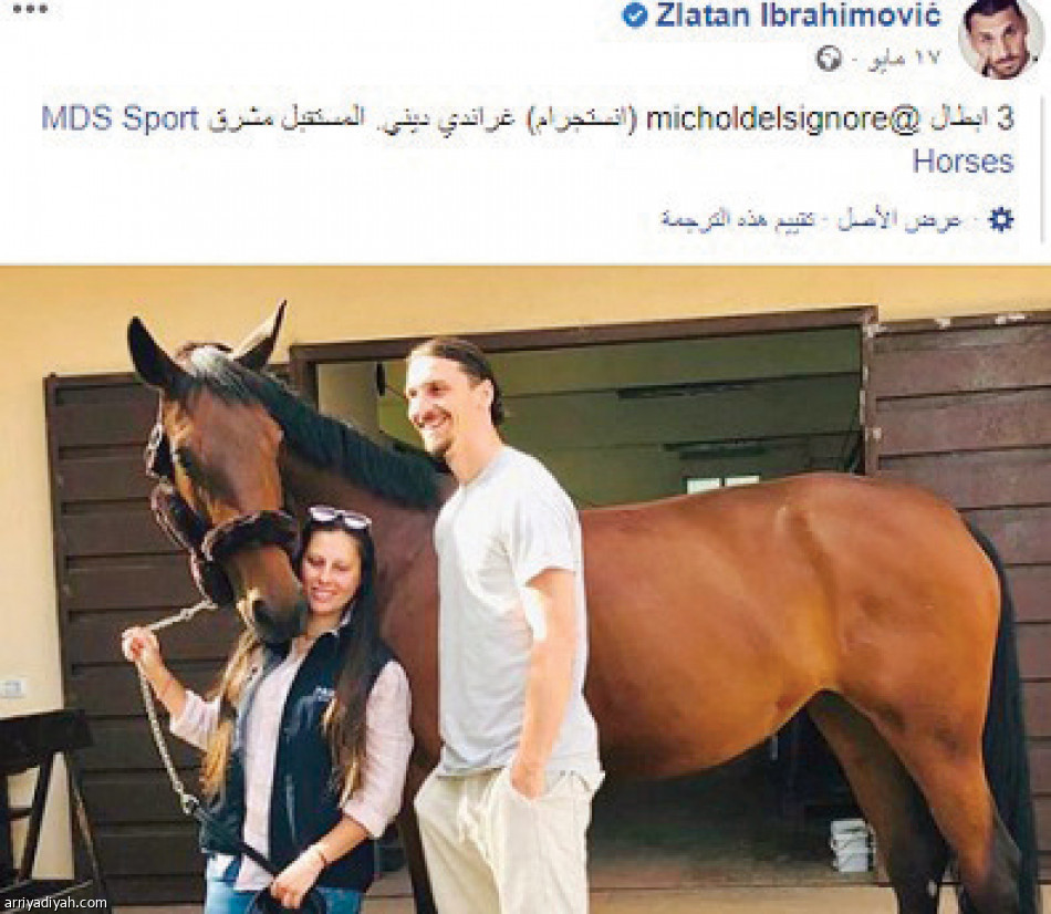 إبراهيموفيتش
يتخلى عن العائلة