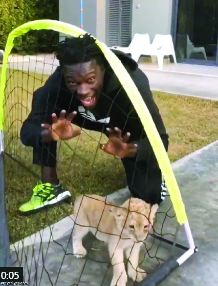 جوميز..
شبل.. وشلة سعودية