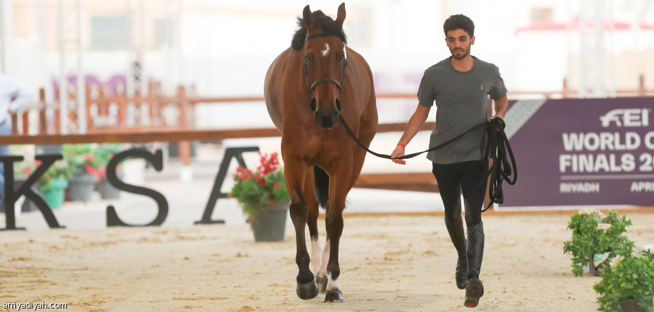 بطولة قفز الحواجز.. فرسان العالم يجرون تدريبهم الأول