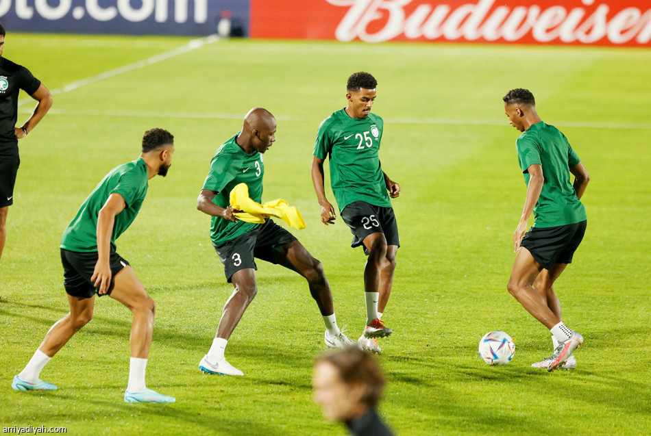 الأخضر
يخفي بديل المالكي