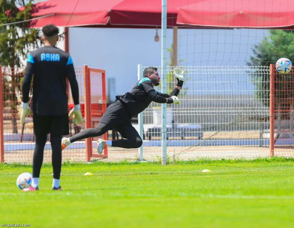 ميشنيفيتش ينطلق مع أبها في إزميت