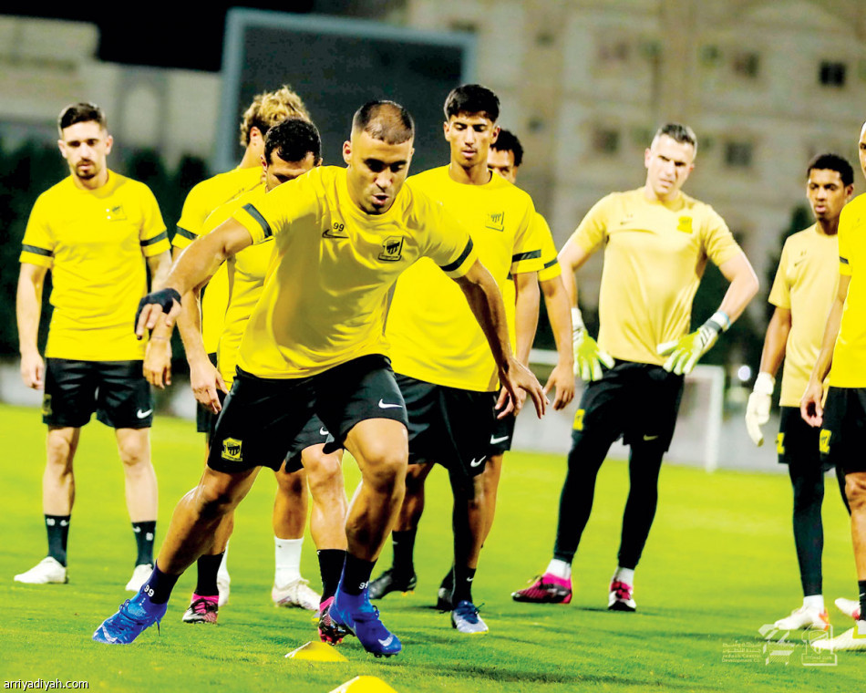 بنزيما وفابينيو 
يعززان كتيبة «النمور»