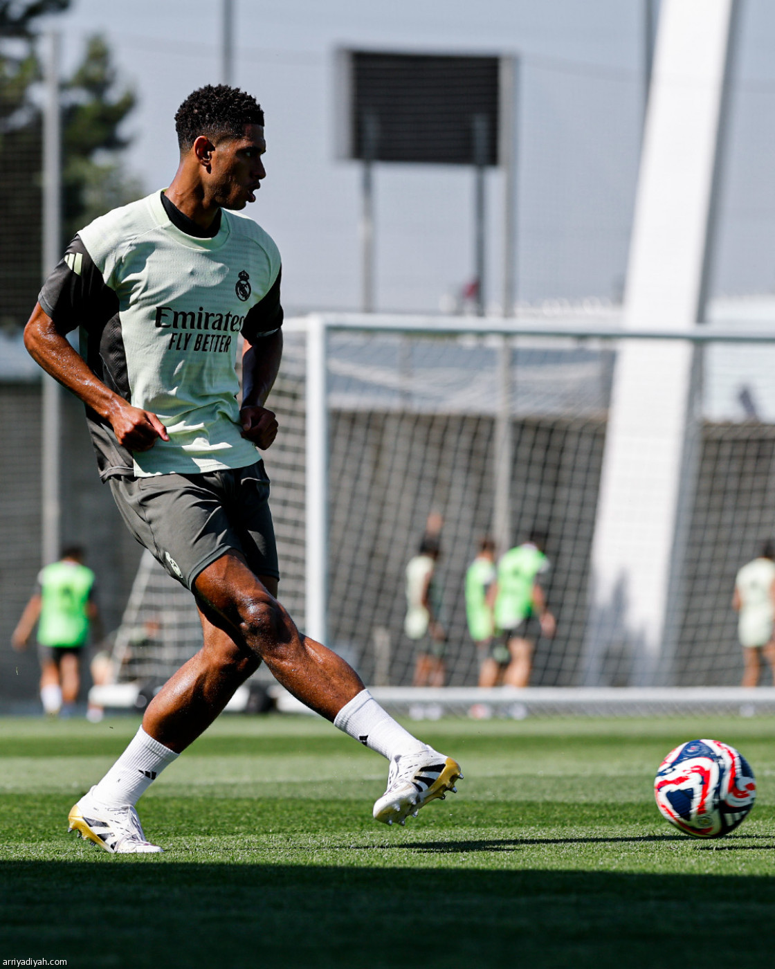 الريال.. حصة صباحية