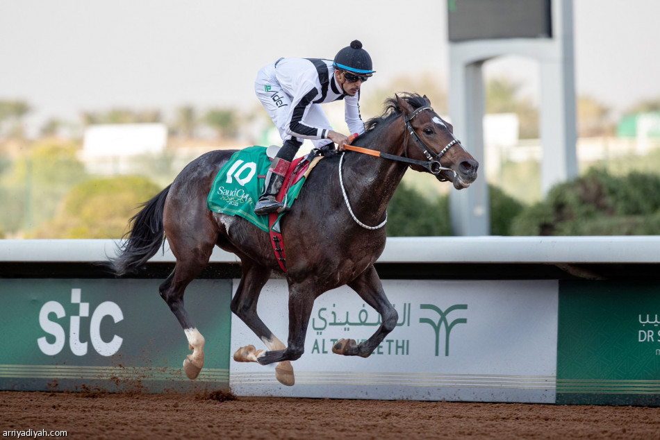 سونيك
يطير بملايين البحر الأحمر