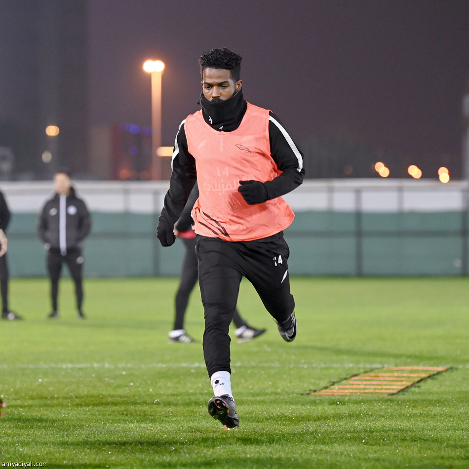 مينا وآرون 
يغيران الخطة